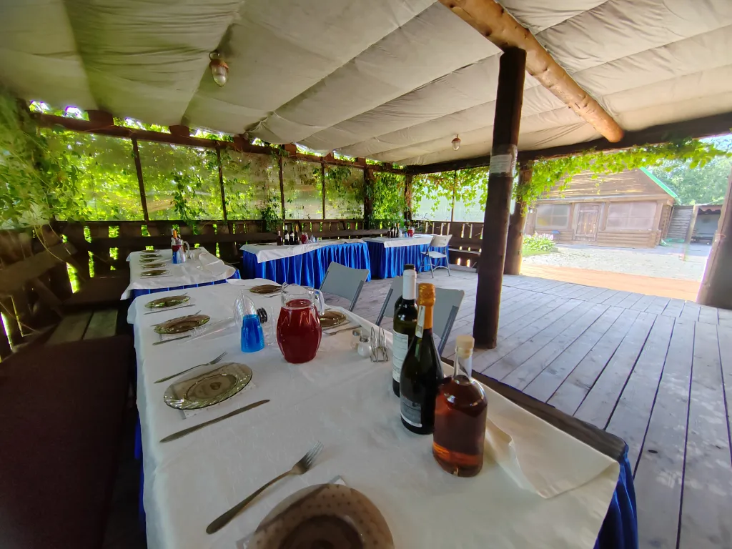 Коттедж возле горячих источников до 25 человек