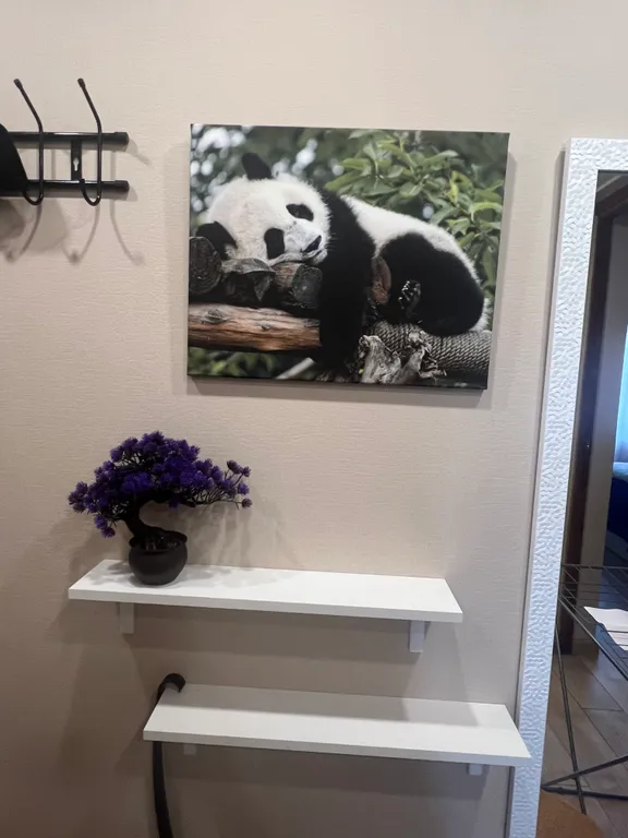 Квартира Однокомнатная квартира в центре Сочи рядом в вокзалом — Сочи