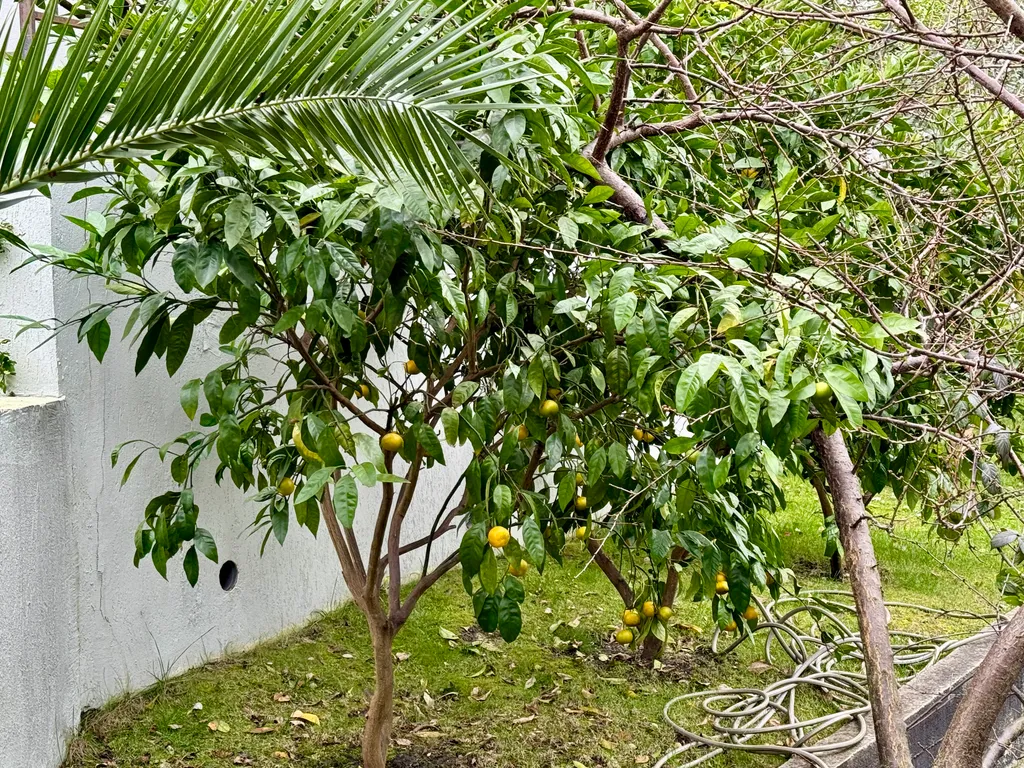 Дом с бассейном и баней у моря