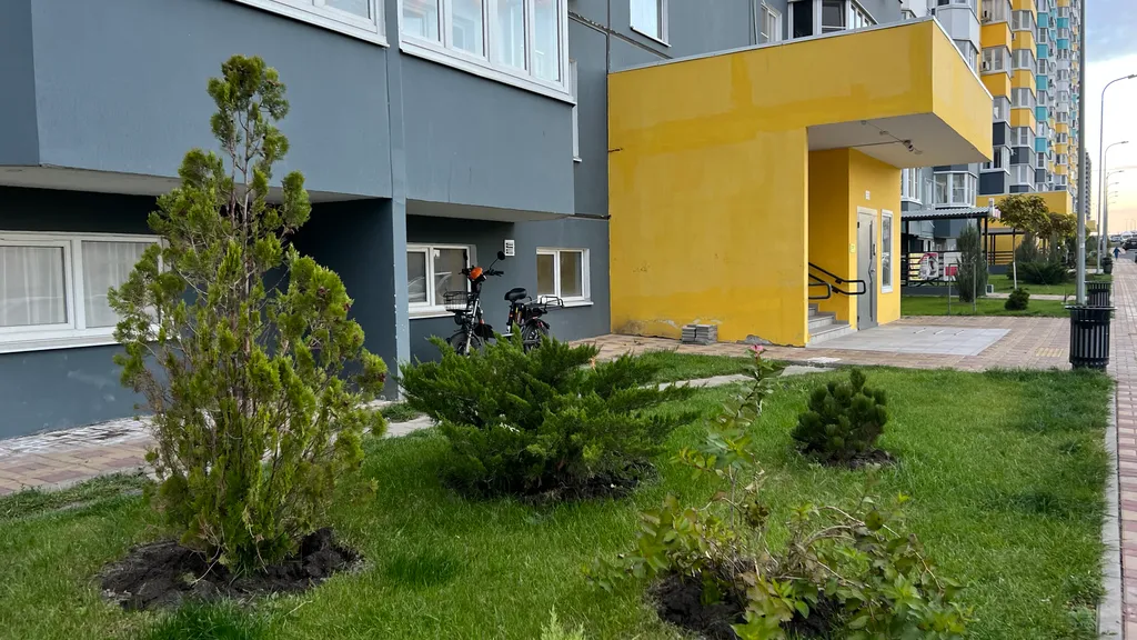 Уютная квартира