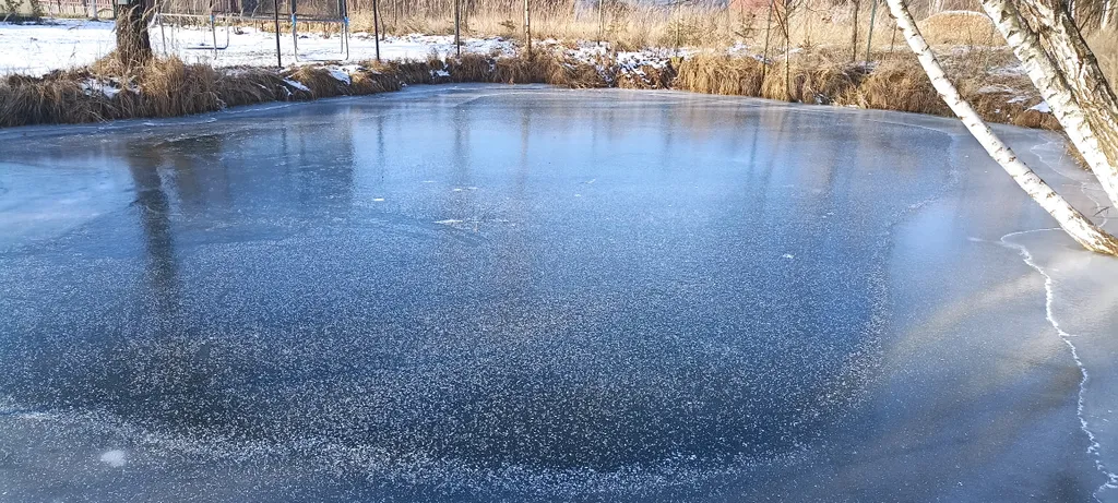 Усадьба Анатолия