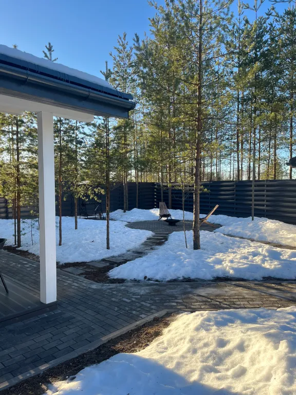 Дом в окружении сосен