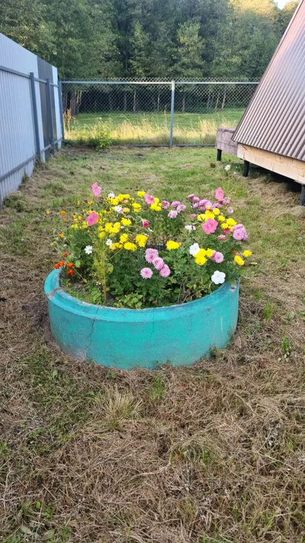 Дом-шалаш с видом на лес