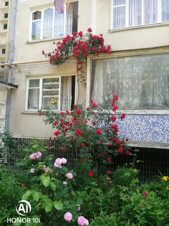 Квартира Уютная квартира в центре — Лазаревское