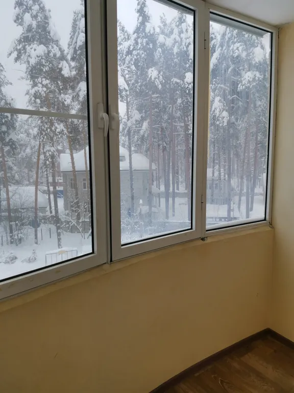 Уютная квартира в центре соснового леса