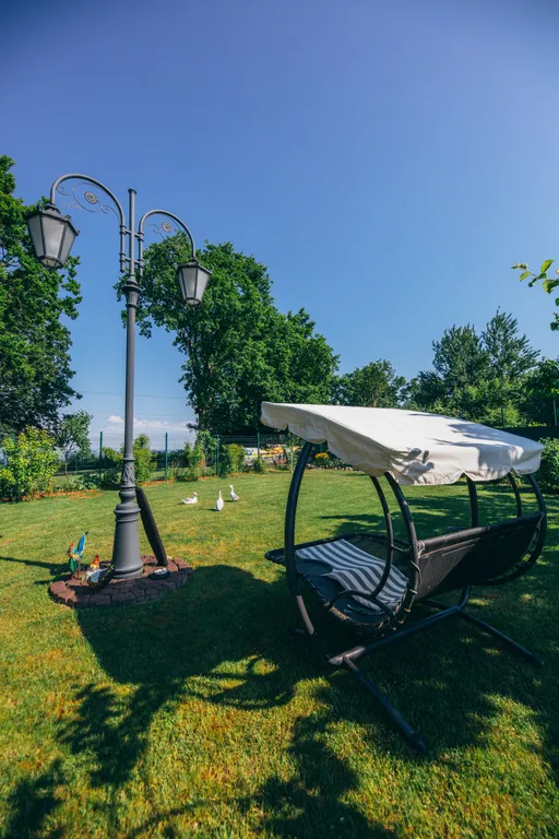 Берег мечты