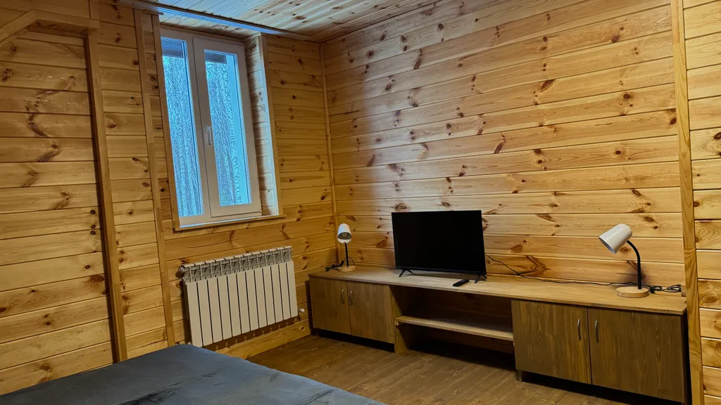 Дом Тихий Бор в березовом лесу