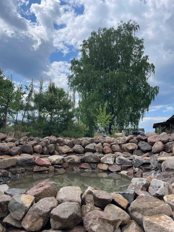 Дом-баня у озера оконо (15 км от г. Лепель)