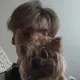 Филипп