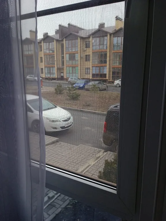 Квартира с цветами