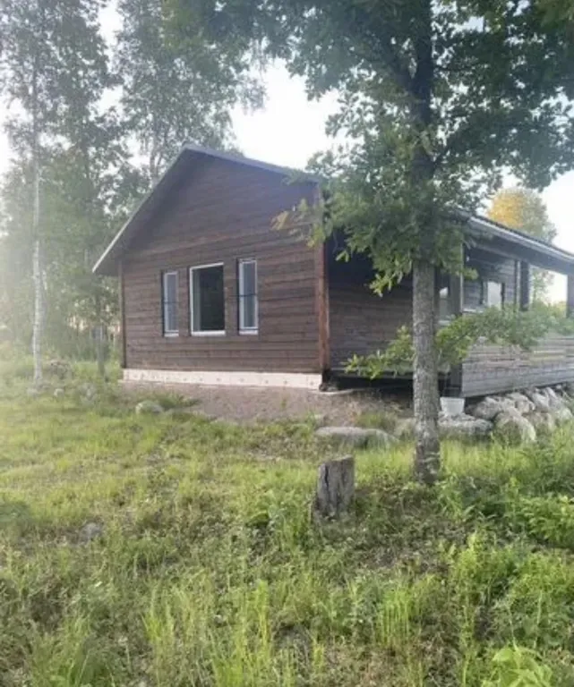 Загородный дом в лесу вблизи залива