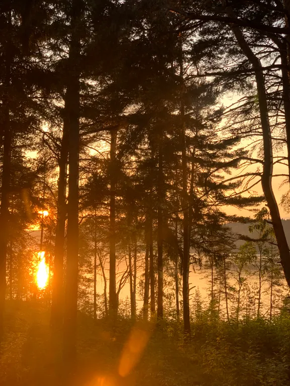 Домик в живописном месте на берегу Ладожского озера