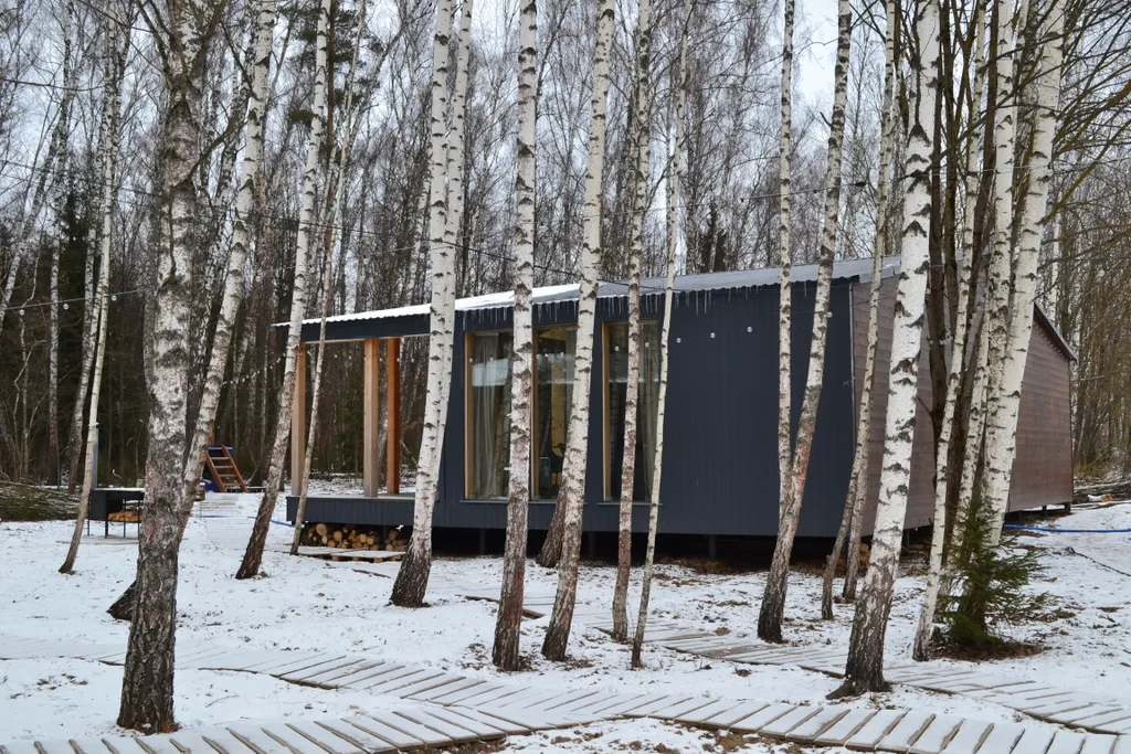 Дом O'Pushka space в березовом лесу