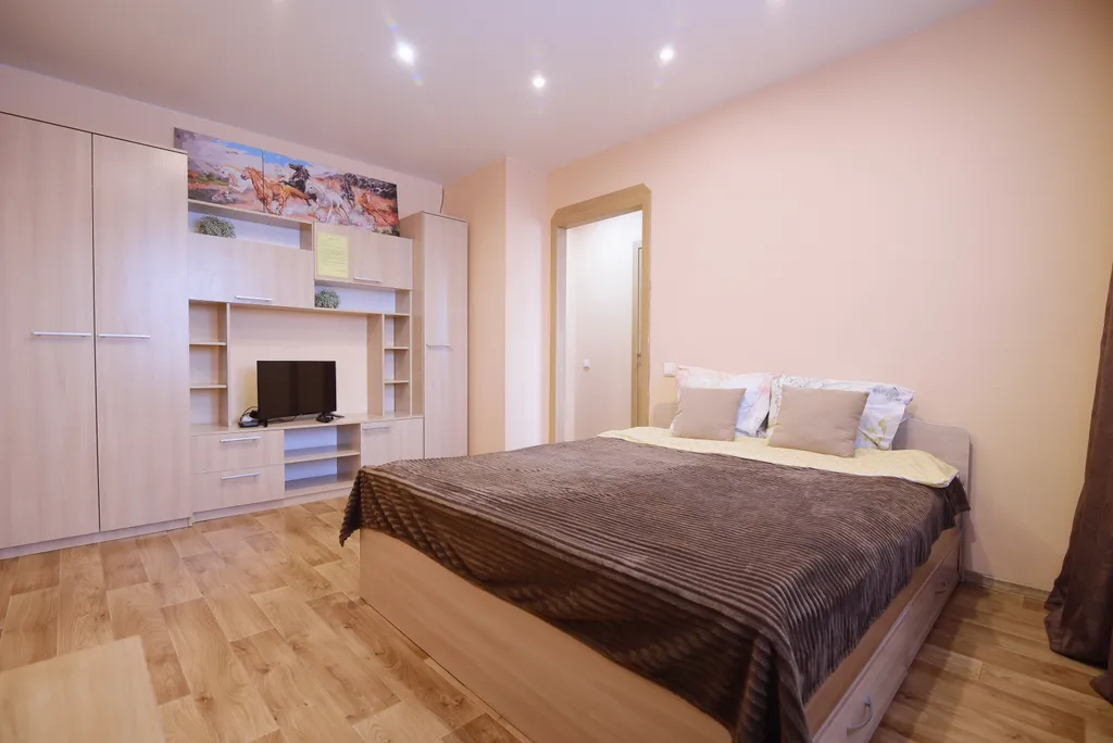 Уютная однокомнатная квартира около аэропорта Толмачево