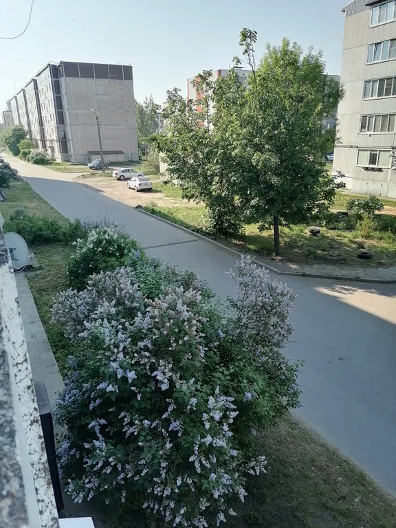 Уютная квартира у леса недалеко от Ладожского озера