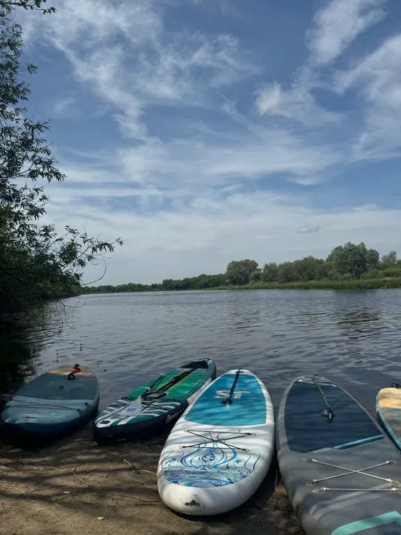 Уютный дом в Сосновом лесу