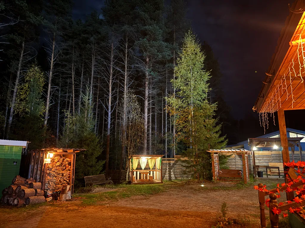 Уютный гостевой дом в лесном просторе