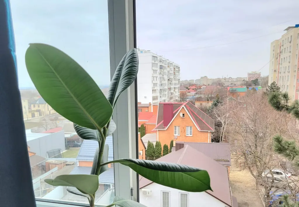 Уютная студия