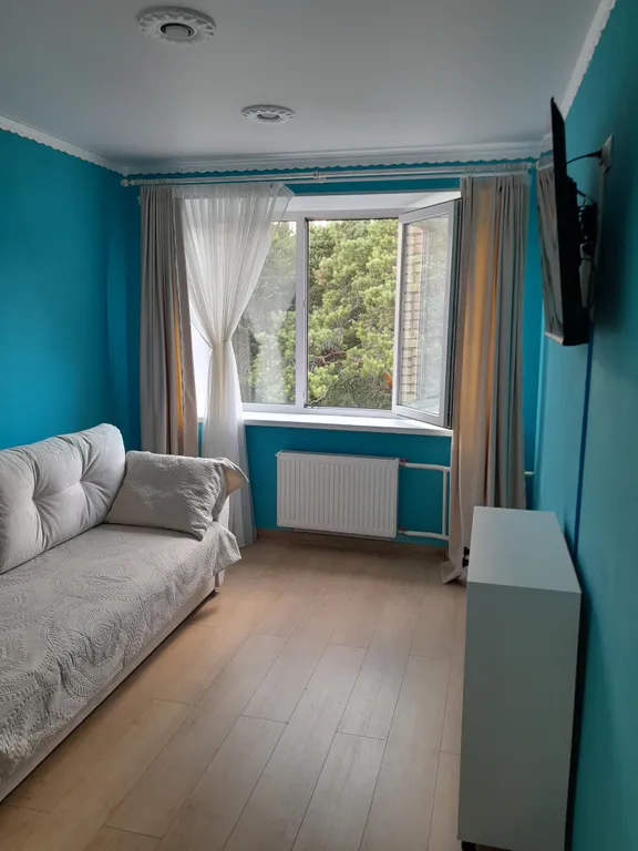 Студия в сосновом бору