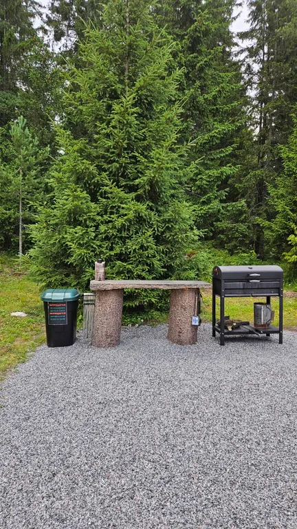 Дом на скале в окружении леса