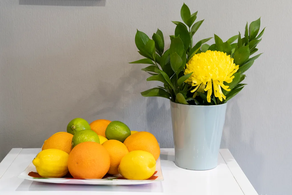 Студия Горчица