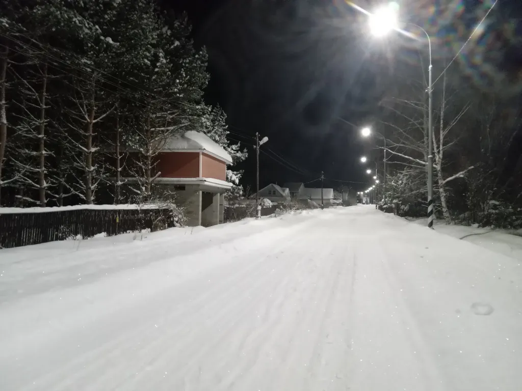 Дом на большом лесном участке