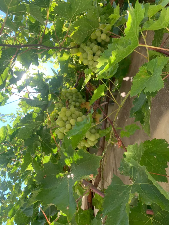 Уютная квартира в самом центре