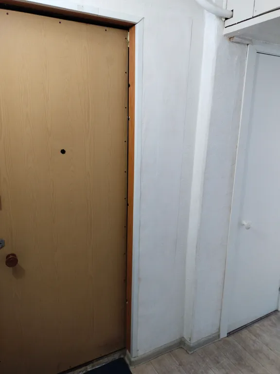 1-комнатная квартира в центре Ярославля