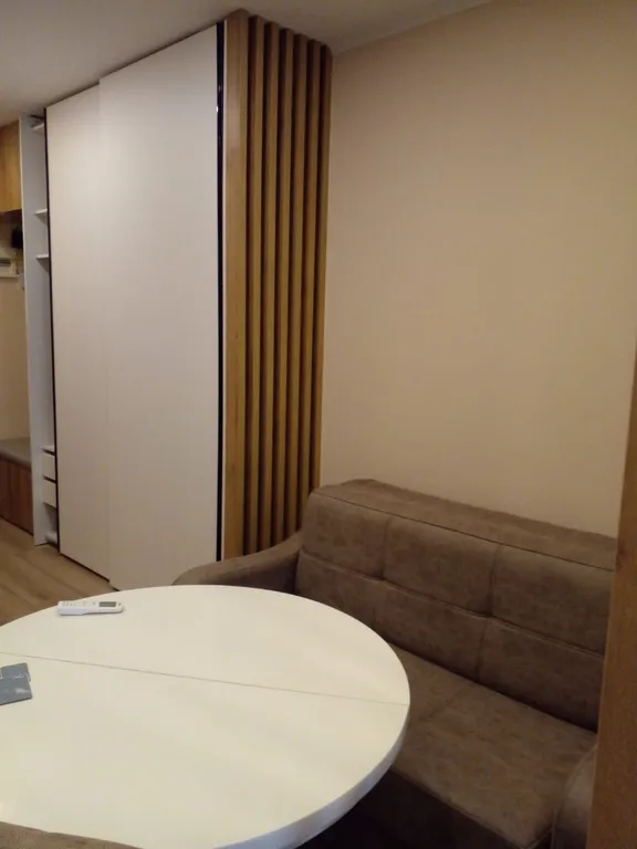 Большая студия в центре