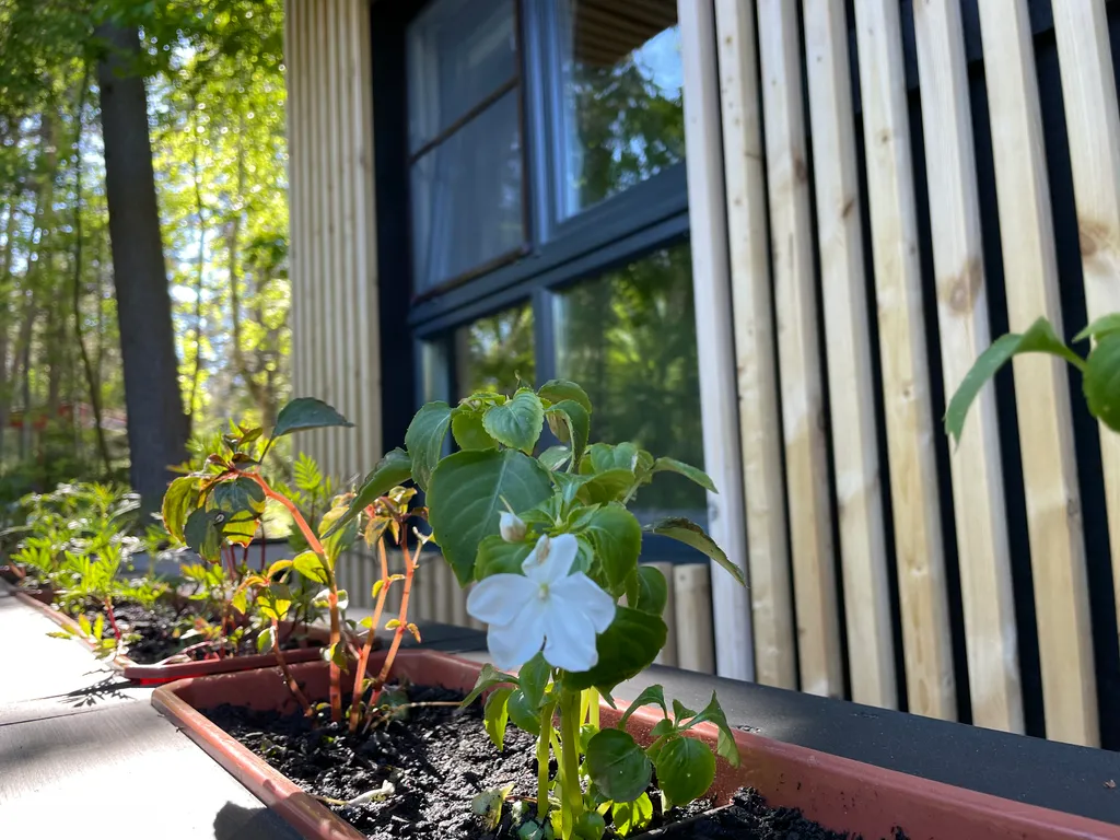 Соловьевка Villa