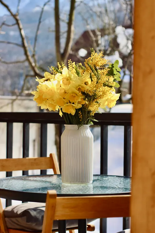 Дом Земля с домашним кинотеатром и Алисой в 7 минутах от подъемника 2