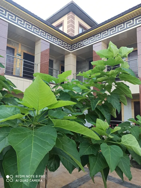 Двухместная, уютная комната с отдельным входом