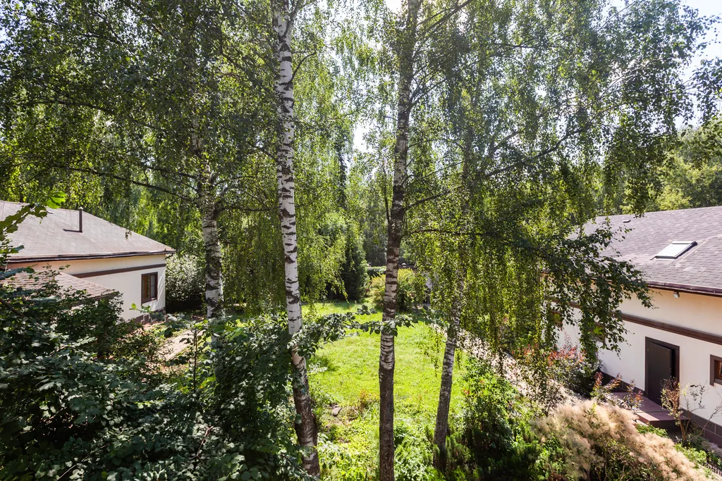 Загородный дом с бассейном, сауной и собственным лесом на участке