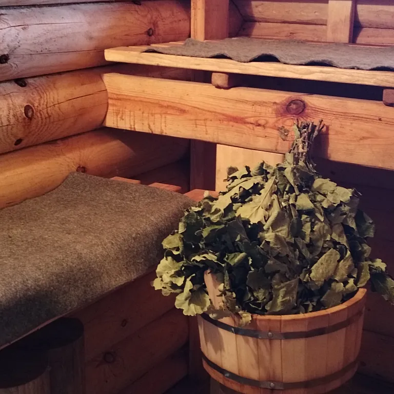 Комфортный дом с баней на дровах