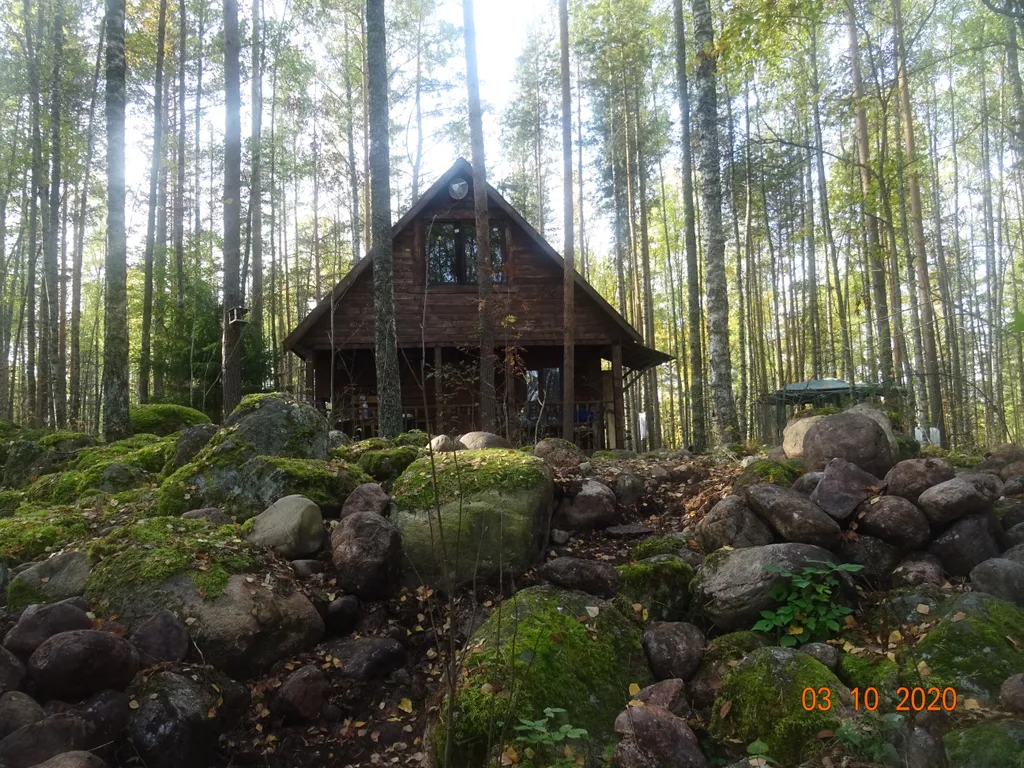 Хижина в лесу на берегу озера без соседей