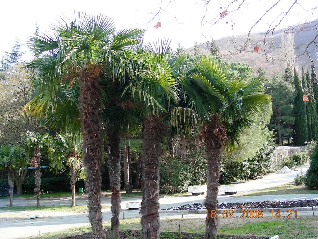 Уютная квартира в центральной части