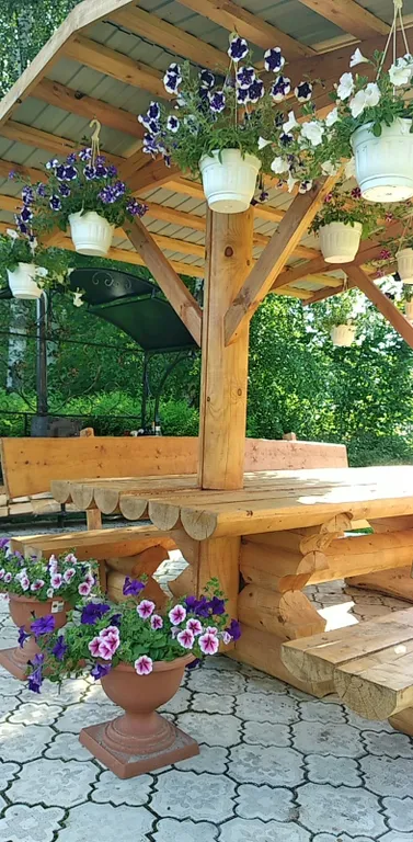 Дом под солнцем