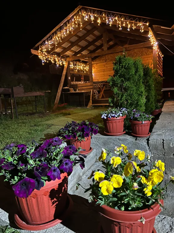 Дом с видом на горы