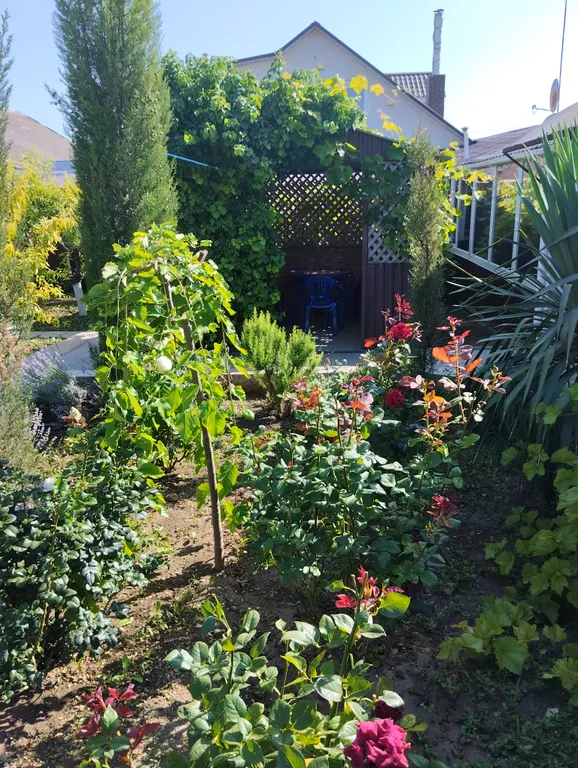 Четырехместный комфорт в загородном доме