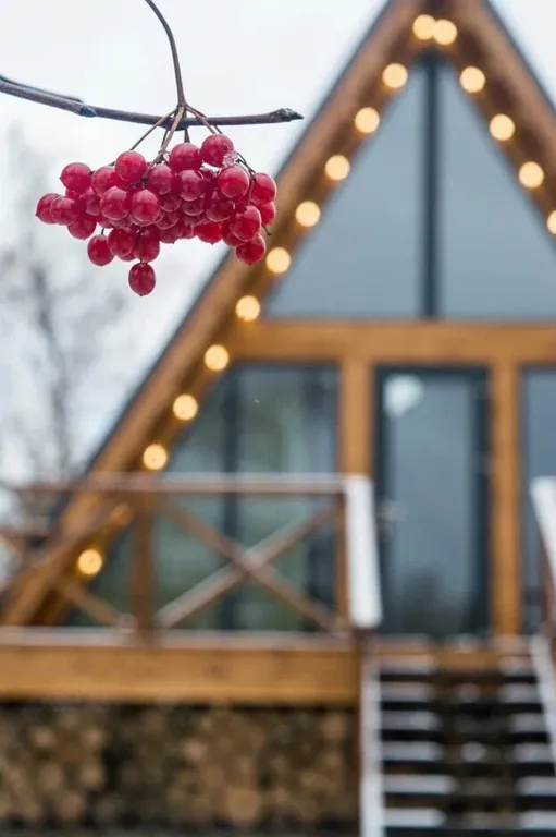 А-фрейм уютный домик у леса  с чаном