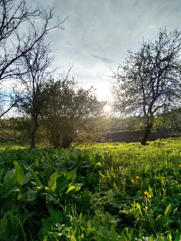 Агроусадьба Ивановых, старый хутор Тауно Туоми