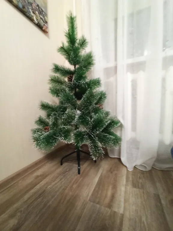 Комфортная квартиpа в цeнтрe города и cтуденчecкoй жизни