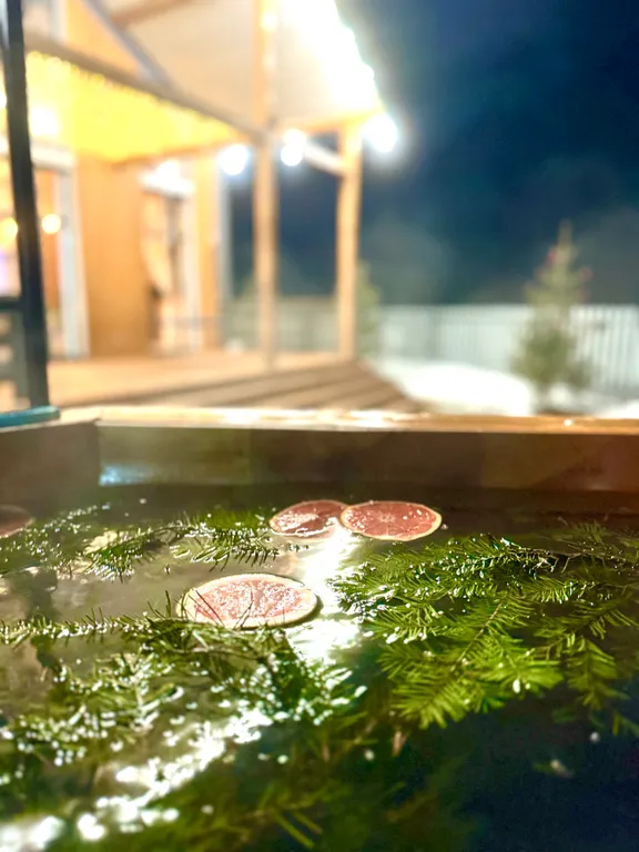 Шикарный дом у реки