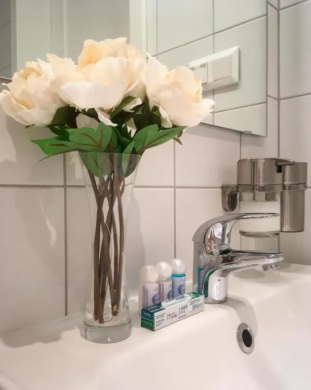 Студия с 3 спальными местами