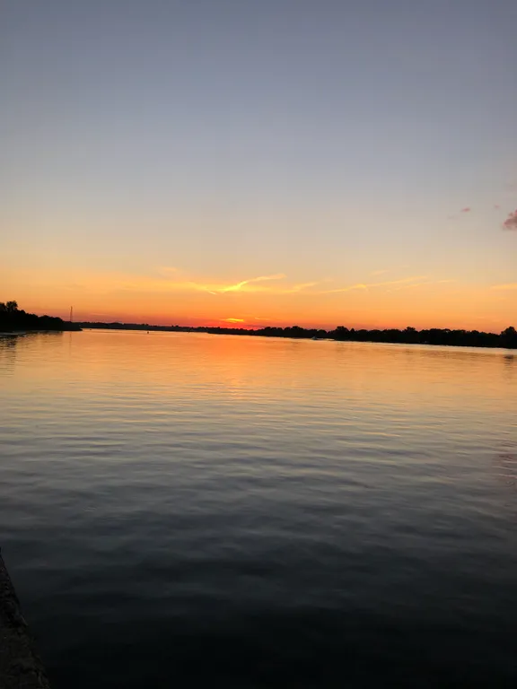 Квартира Уютная квартира в хвойном лесу на Волге — Шоша, п.