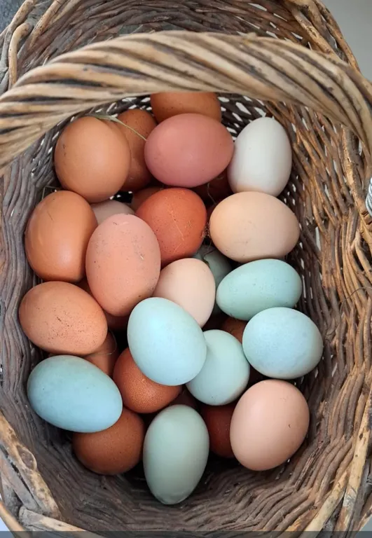 Коттедж 8-комнатный Дом — Губка