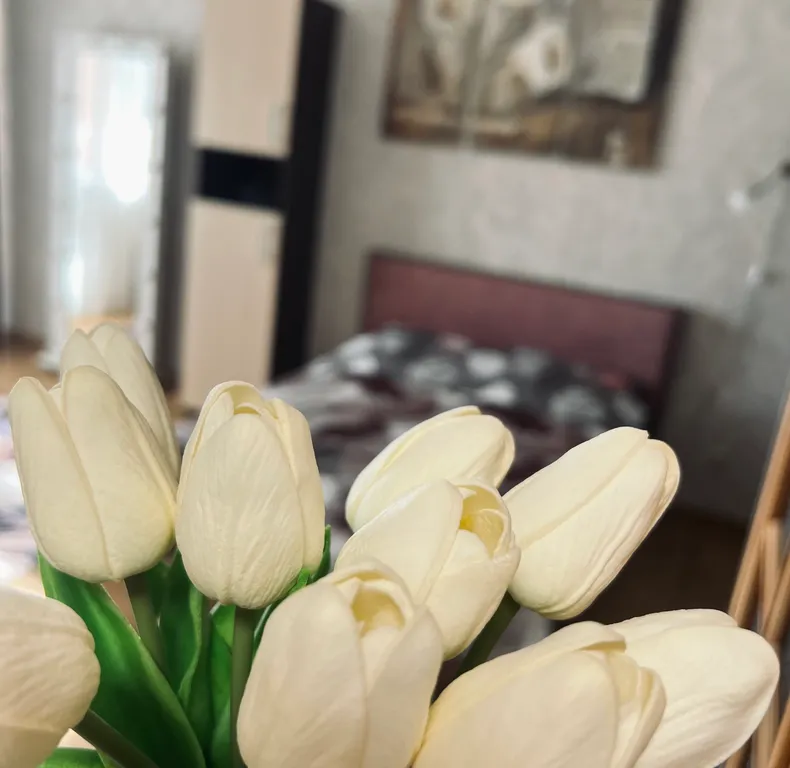 Квартира Уютная однушка в Серебрянке — аренда посуточно в Минск