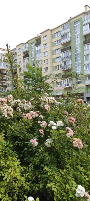 Квартира Апартаменты с видом на реку — Калининград