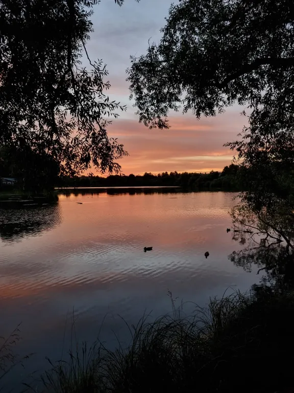 Дизайнерская 2-уровневая квартира на берегу Финского залива