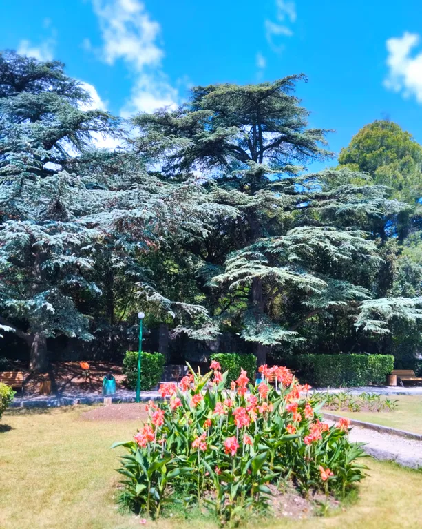 Квартира в живописном, курортном поселке